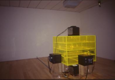 Bruce Nauman, Rats and Bats (Learned Helplessness in Rats), 1988,  video installazione, Metropolis, Berlino 1991.