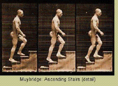 Eadweard Muybridge, Animal Locomotion (Locomozione animale. Uomo che sale le scale, part.), 1887