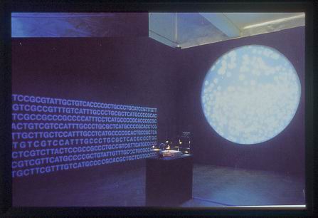 Eduardo Kac, Genesis, 1999