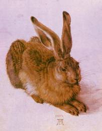 Dürer, Leprotto, 1502