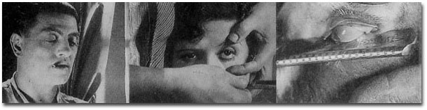 Luis Buñuel, Un chien andalou, 1929