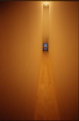 Bruce Nauman, Video Corridors, 1969-1979